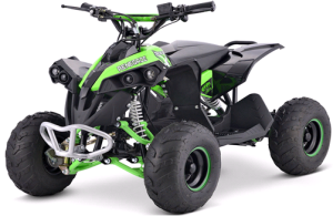 Квадроцикл ATV Yacota RENEGADE mini 110